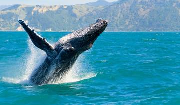 Queenstown to Wellington Highlights - 7 Day Self Drive Tour