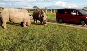 Safari de 3 jours et 2 nuits dans la réserve naturelle d\'Ol Pejeta circuit