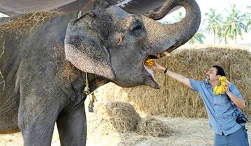 From Delhi : Taj Mahal Trip with Elephant Conservation and Care Center by Car - Wildlife SOS Tour
