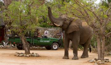 Klassieke safari in het Kruger-park - 6 dagen-rondreis
