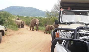 3 Days Pilanesberg Safari With Sun City