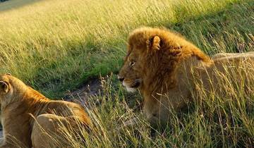 5 Days Amboseli, Tsavo West & Tsavo East Coastal Safari Tour