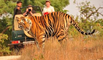 Golden Triangle Tour with Ranthambore Tour