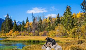 Canadian Rockies and Pacific Coast (Vancouver To Calgary)