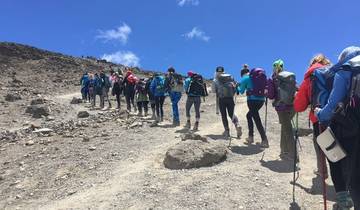 Kilimanjaro Climb - Marangu Route 5 Days