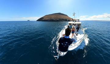 Circuito Galápagos Premium Experience 9 Días