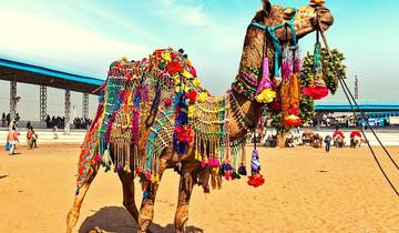 5 Day Golden Triangle Tour with Pushkar - Delhi Agra Jaipur Pushkar Tour  - Taj Mahal Sunrise or Sunset Tour