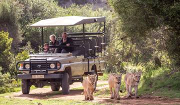 Garden Route Wildlife Safari - 4 Days Tour