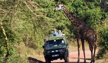 4 Tarangire Ngorongoro and 2 days in Serengeti Tour