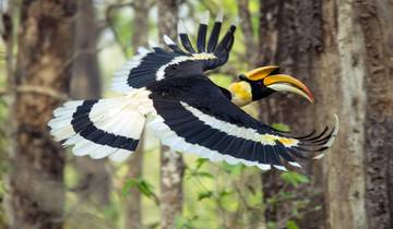 Luxury Wildlife Jungle Safari Adventure in Nepal- 7N/8D