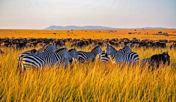 4 Days Masai Mara Wildlife Safari Adventure Tour