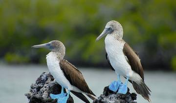 10 Days in Galapagos Islands, incl. Santa Cruz and Isabela