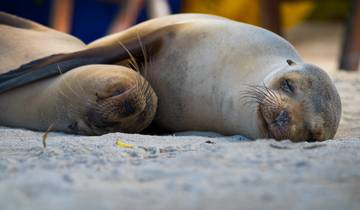 10 Days in Galapagos Islands, incl. Santa Cruz and Isabela