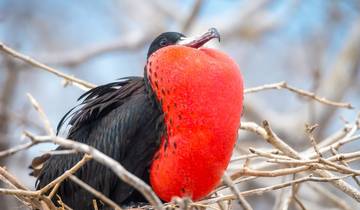 10 Days in Galapagos Islands, incl. Santa Cruz and Isabela