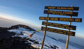Ascension du Kilimandjaro - Route du Lemosho - 8 jours circuit