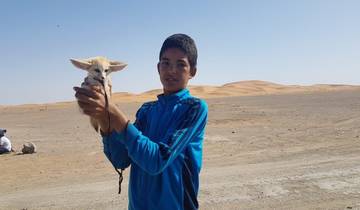 3 days Tour from Marrakech to Fes