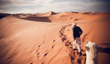 Marrakech Sahara Desert Excursions: Marrakech to Fes Tour