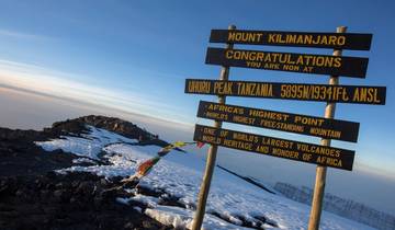 Kilimandscharo Besteigung über die Lemosho Route - 9 Tage