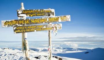 10 jours d\'ascension du Kilimandjaro - Route de Lemosho circuit