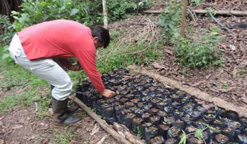 Galapagos Experience: Volunteer & Travel  2 weeks
