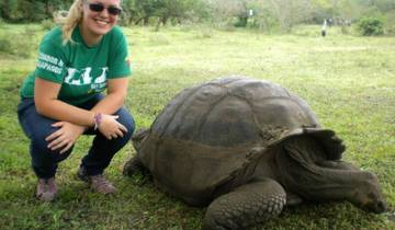 Expérience aux Galapagos : Volontariat et voyage 2 semaines circuit