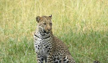 Amboseli national park