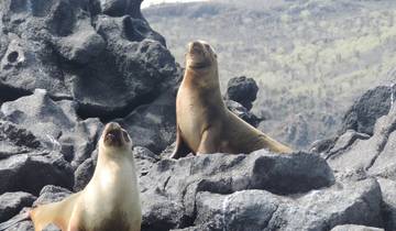 Expérience aux Galápagos : Volontariat et voyage 10 jours