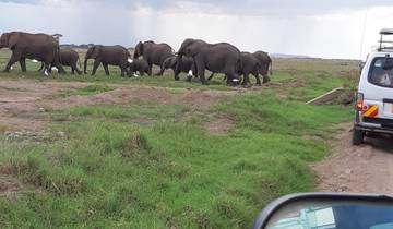 Amboseli Nationalpark Safari (garantierte Durchführung) - 2 Tage Rundreise