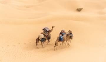 Tunisia 7 Day Desert Camel Trek Tour
