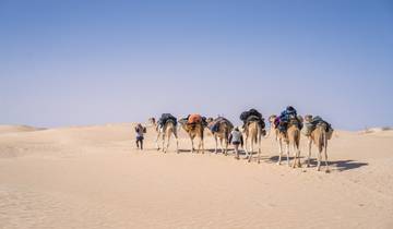 7 Day Tunisia Itinerary, incl. Djerba and Sahara Desert