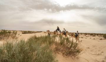 7 Day Tunisia Itinerary, incl. Djerba and Sahara Desert