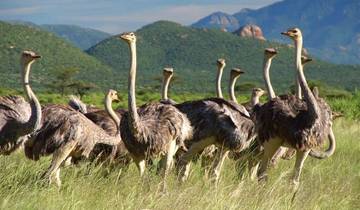 6 Day Kenya Cultural Safari