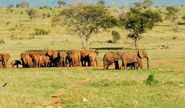 6 Day Kenya Cultural Safari Tour
