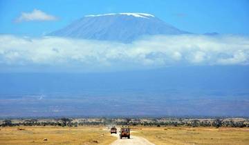 6 Days Trekking Kilimanjaro via Machame Route