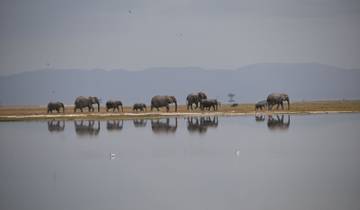 Circuito Safari en Jeep de 12 días con acampada en grupo económico por Kenia y Tanzania