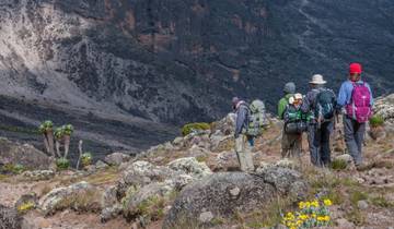 8 Days Kilimanjaro Climb Lemosho Route