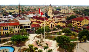 3/2 Iquitos Jungle Rainforest