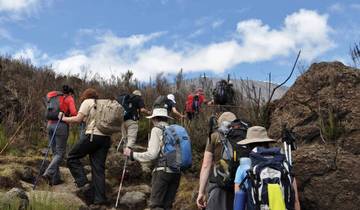 Circuito 6 Días - Ruta Machame