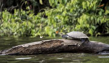 2 Days in Tambopata Amazon, incl. Puerto Maldonado and Sandoval Lake