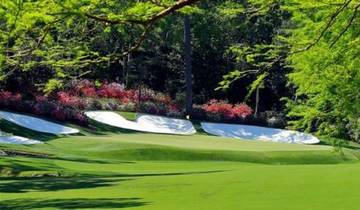 14 Days in the American South, incl. Charleston and Savannah