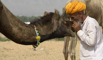 GOLDEN TRIANGLE TOUR WITH PUSHKAR Tour