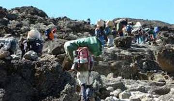 1 Day Kilimanjaro Hiking - Machame Route