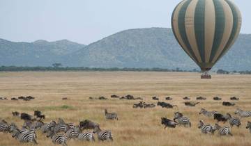 Safari de 4 días a Maasai Mara y Lago Nakuru