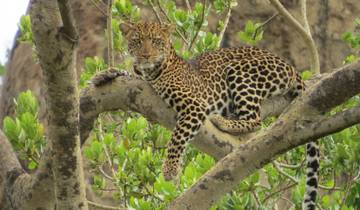 Murchison Falls Vacation Including Big 5 Sighting