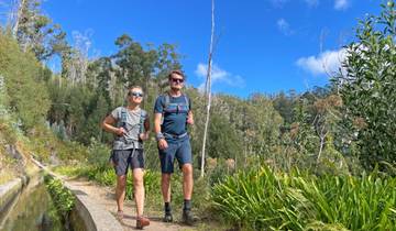 8 Day Madeira Itinerary, incl. Porto da Cruz and Funchal