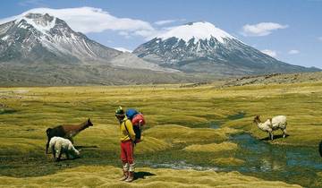 4 Days Unique Experience @ Chilean high Plateau (Chilean Altiplano)