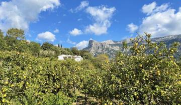 7 Day Mallorca Itinerary, incl. Pollença and Sóller