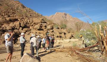 21 Days in Southern Africa, incl. Cape Town and Victoria Falls