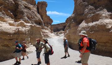 21 Days in Southern Africa, incl. Cape Town and Victoria Falls