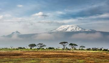 Kilimanjaro Lemosho Summit and Camping Safari